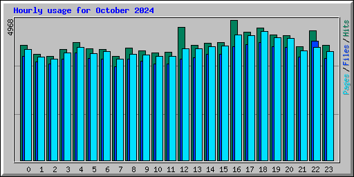 Hourly usage for October 2024