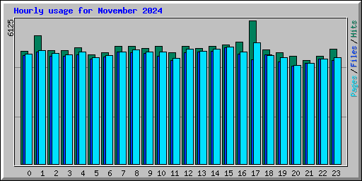 Hourly usage for November 2024