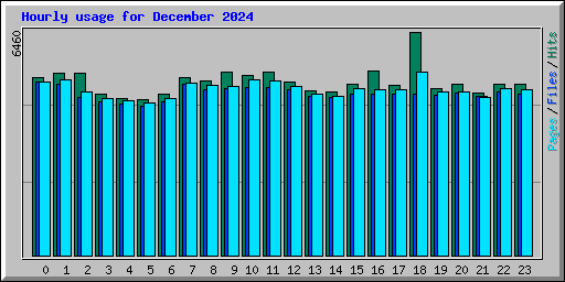 Hourly usage for December 2024