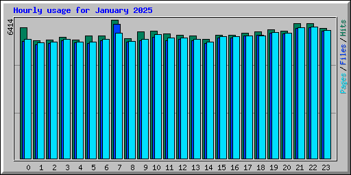 Hourly usage for January 2025