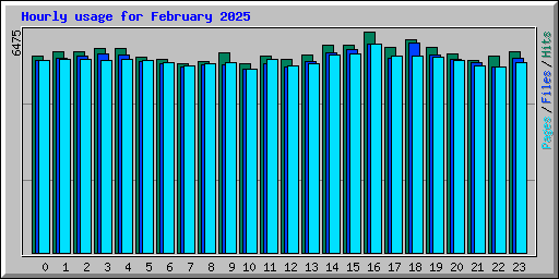 Hourly usage for February 2025