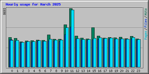 Hourly usage for March 2025