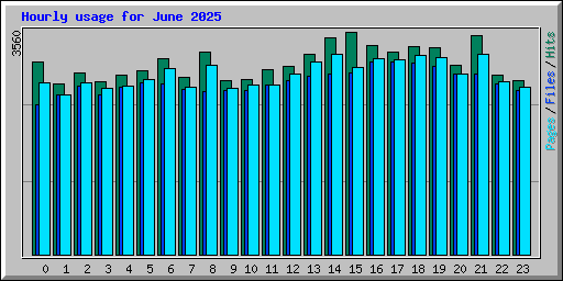 Hourly usage for June 2025