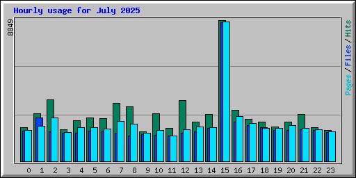 Hourly usage for July 2025