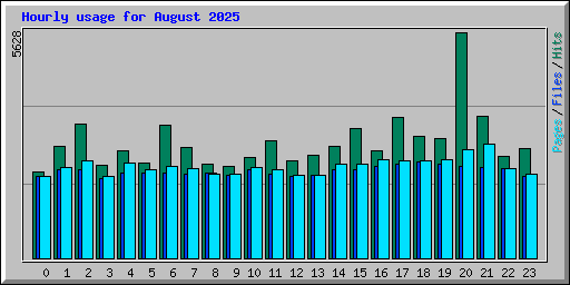Hourly usage for August 2025