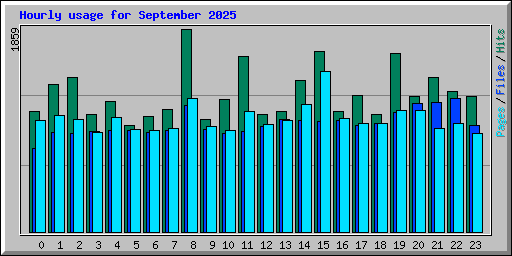 Hourly usage for September 2025