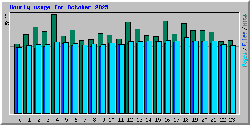 Hourly usage for October 2025