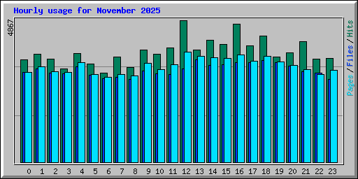 Hourly usage for November 2025