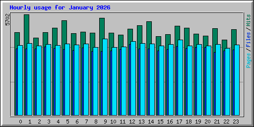 Hourly usage for January 2026
