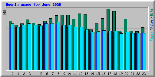 Hourly usage for June 2026