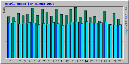 Hourly usage for August 2026